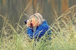 remedii naturale pentru pofta de mancare la copii