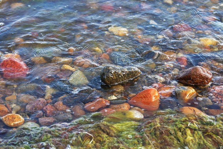 remedii pentru curent la ureche si dinti