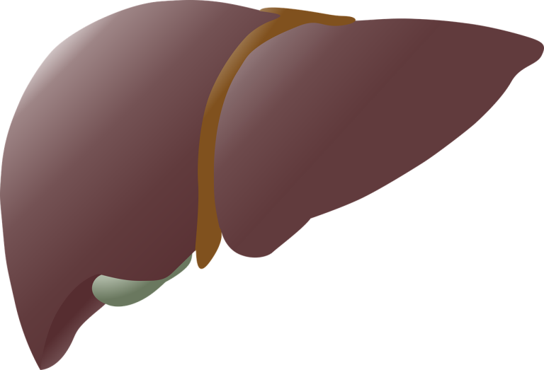 dimensiuni normale splina
